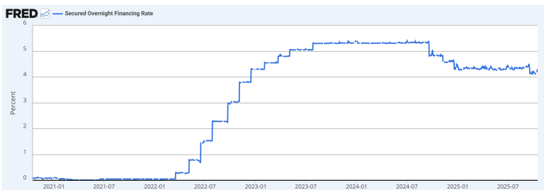 Reverse Repurchase Agreement
